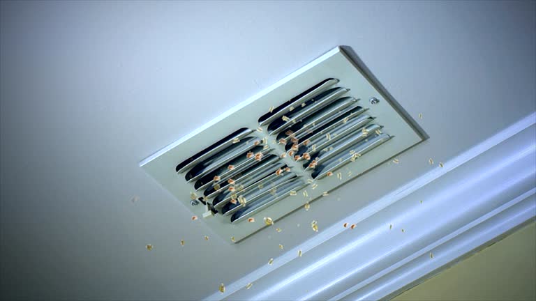 Best Affordable HVAC Duct Cleaning  in Greentown, IN